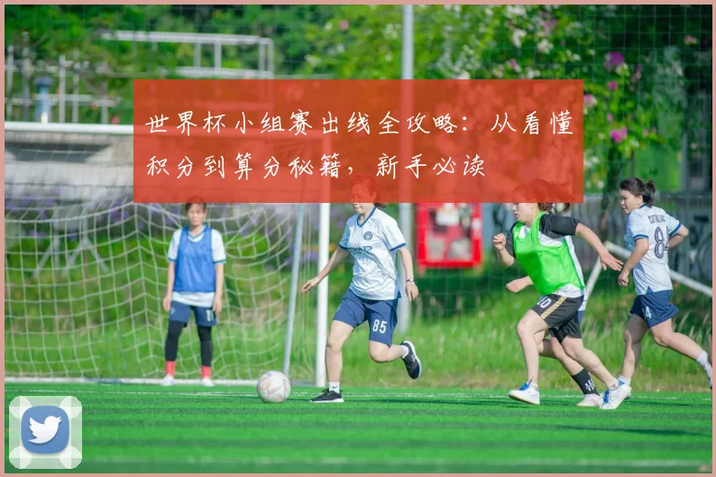 世界杯小组赛出线全攻略：从看懂积分到算分秘籍，新手必读